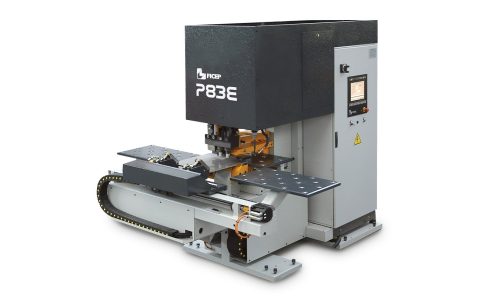 SERIE-P-p83e-g1