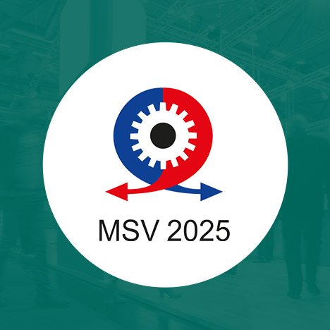 Site-MSV
