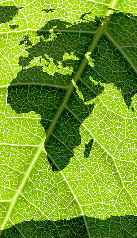 AHORRAR ENERGÍA PARA SALVAR EL MEDIO AMBIENTE